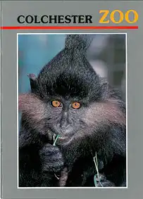 Guide (Schopfmangabe). 