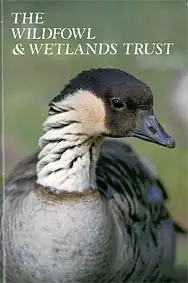 Guide (Hawaiigans) incl. Walkabout guide). 