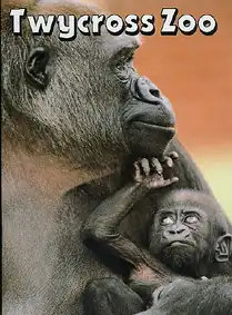 Guide (Gorilla mit Jungtier) (p 21: where your ticket money goes). 