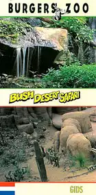 Gids (Bush Desert Safari). 