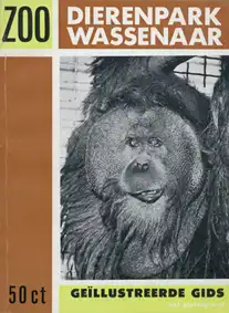 Gids (Orang Utan). 