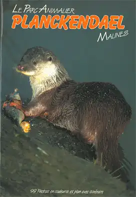 Zooführer (Otter). 