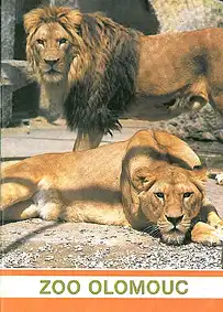 Zooführer (Löwen). 