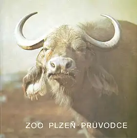 Zooführer (Büffel). 