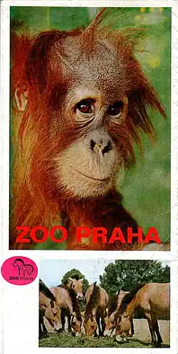 Lageplan (Orang). 