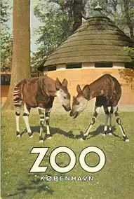 Zooführer (Okapis), mit Faltplan. 
