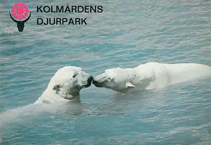 Kurzinfo mit Lageplan (Eisbären). 