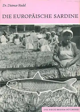 Die Europäische Sardine. Sardiana pilchardus (Neue Brehm Bücherei, Heft 391). 