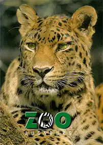 Zooführer, 1. Auflage (Leopard). 