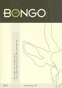 Bongo Band 37. 
