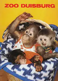 Wegweiser, 11. Auflage (Affenbabies). 