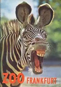 Wegweiser (Zebra). 