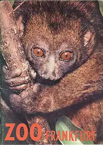 Wegweiser (Potto, Ast links vom Tier). 