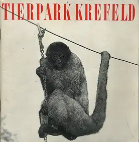 Zooführer (Wollaffe). 