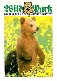 Zooführer (junger Bär). 