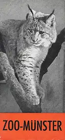 Faltblatt mit Lageplan (Luchs). 