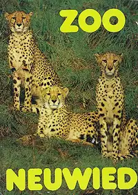 28 Tierkarten, Lageplan (Gepard). 