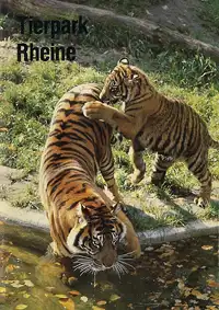 Zooführer (Sumatratiger), 10. Auflage. 