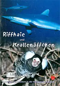 Riffhaie und Krallenäffchen. 