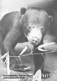 106. Jahresbericht 1978. 