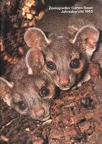 111. Jahresbericht 1983. 