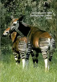 113. Jahresbericht 1985. 