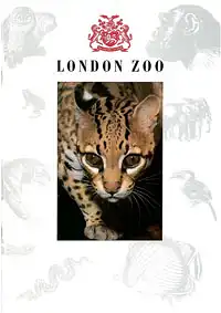 Guide Book (Ocelot). 