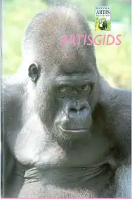 Gids (Gorilla). 