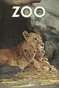 Zooführer (Löwin mit Jungtieren). 