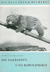 Die Halbaffen und Koboldmakis. (Neue Brehm-Bücherei, Heft 211.). 