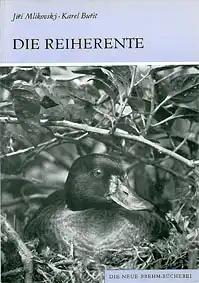 Die Reiherente. Aythya fuligula (Neue Brehm-Bücherei Band 556). 