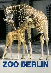 Wegweiser, 49. Auflage (Giraffen). 