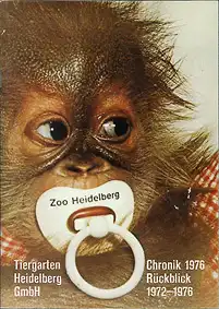 Chronik 1976 (Rückblick 1972-1976). 