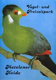Zooführer (Weißohrturako). 