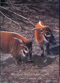 Geschäftsbericht 1993. 