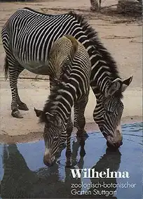 Zooführer (Zebras), 29. Auflage. 
