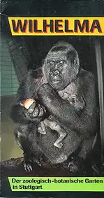 Zooführer (Gorilla mit Jungtier). 