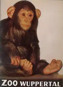 Zooführer (Schimpanse) (90 Jahre). 