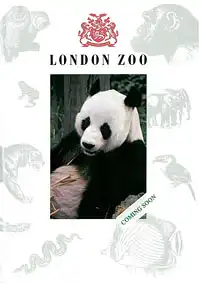Guide Book (Panda) 1991. 