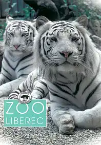 Faltplan (Weiße Tiger)(dt.). 