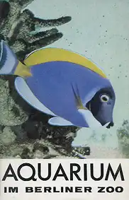 Wegweiser Aquarium (Doktorfisch). 
