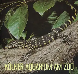 Führer (Bindenwaran). 