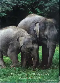 Geschäftsbericht 1995. 