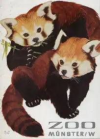 Zooführer (Zeichnung Kleiner Panda). 