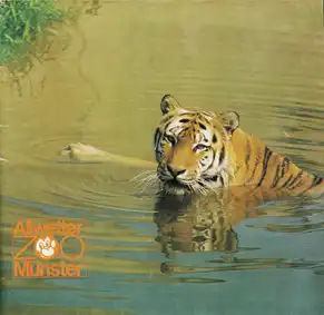 Zooführer (Sibirischer Tiger). 