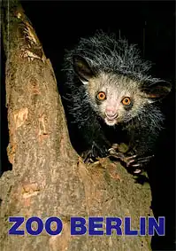 Wegweiser, 51. Auflage (Fingertier). 