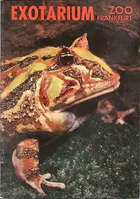 Wegweiser Exotarium (Hornfrosch). 