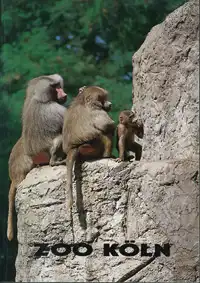 Zooführer (Mantelpaviane). 