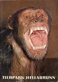 Zooführer (Schimpanse). 