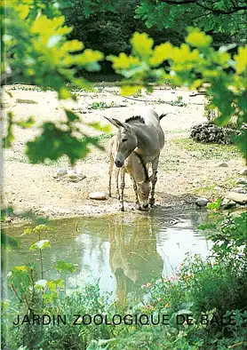 Zoof?hrer (Somali Wildesel). 